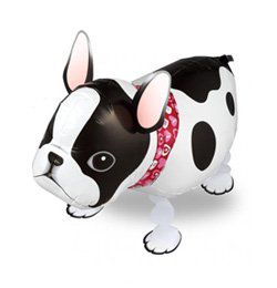 balón chodiaci francúzsky buldog