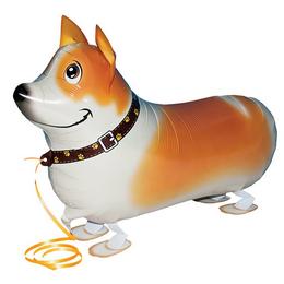 Chodiaci balón psík Corgie