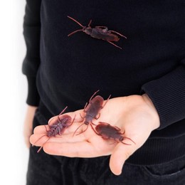 Halloweenska dekorácia -šváby, 10 ks