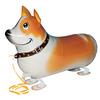 Chodiaci balón psík Corgie