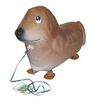 Chodiaci balón - Zlatý Retriever
