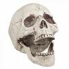 Halloweenska dekorácia lebka s pohyblivou čelusťou 