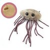 E.Coli